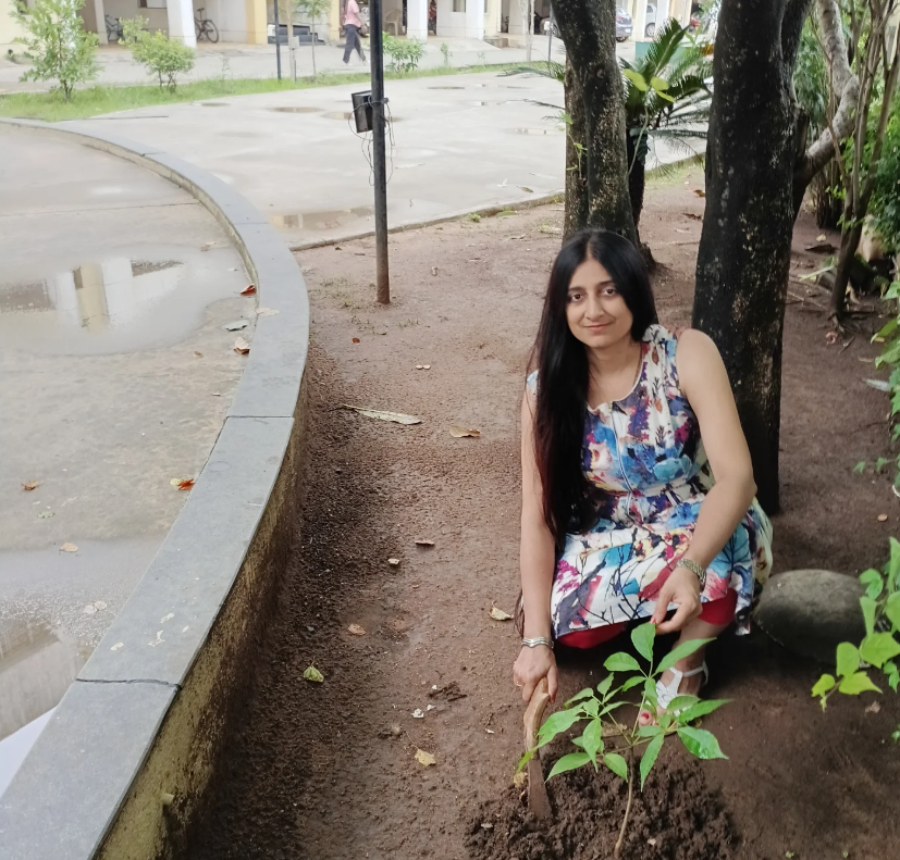 Tree plantation